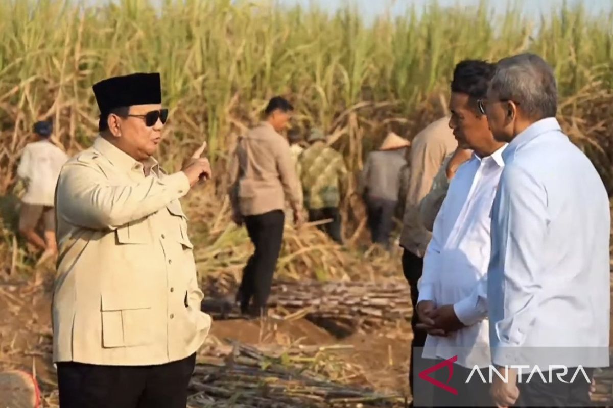 President Prabowo: Government aims to complete sugarcane replanting within two years