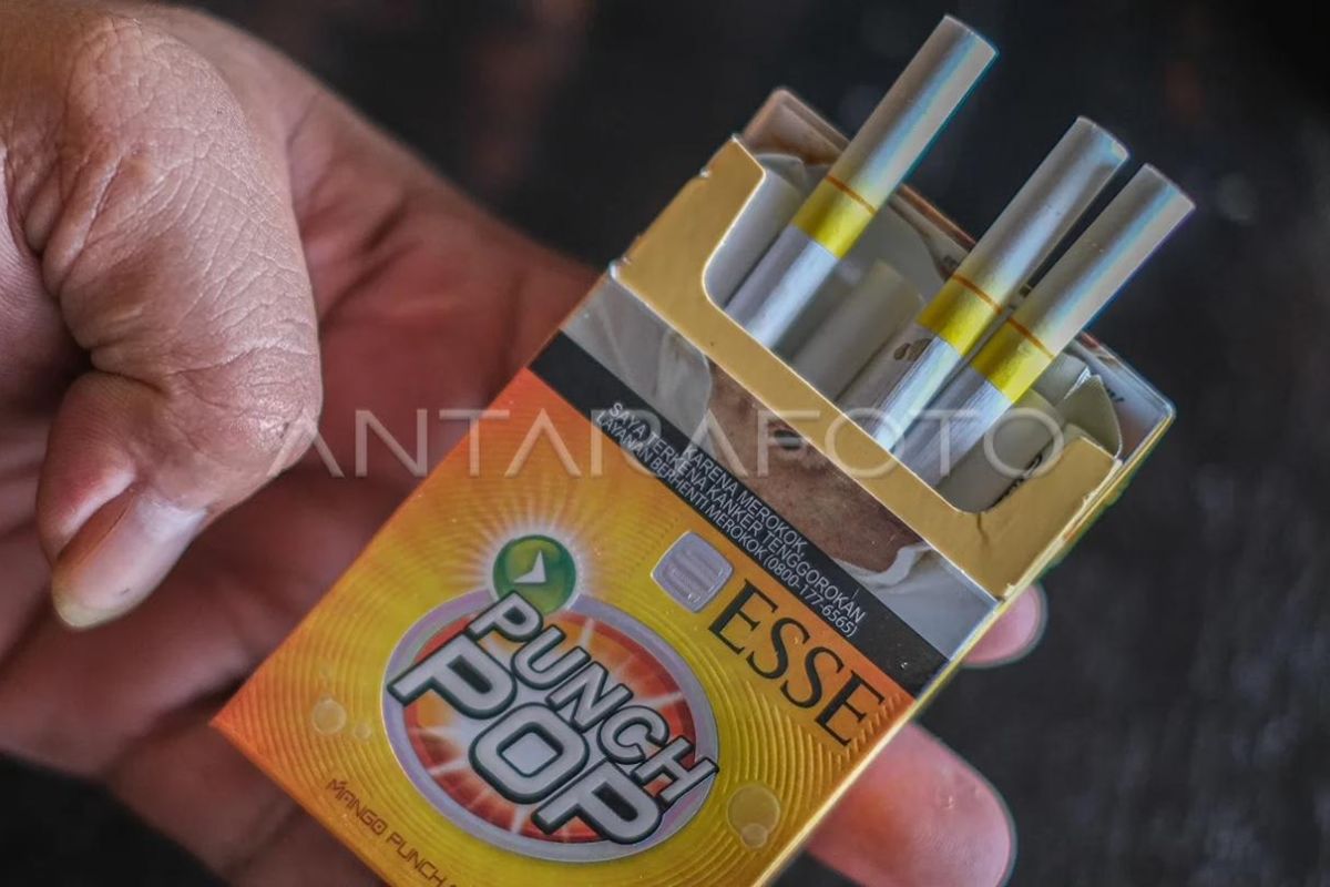 Expert says standardised cigarette packaging policy needs cross-sectoral review