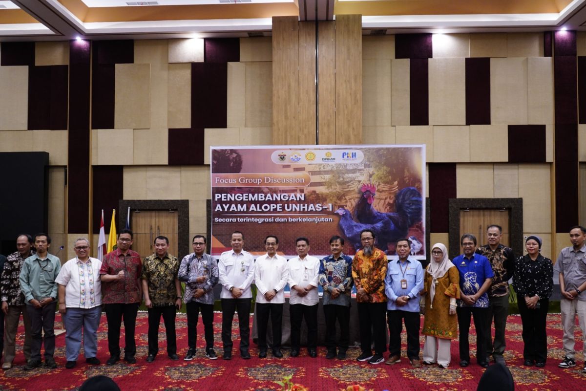 Unhas Develops Alope Chicken as a Strategic Food Security Innovation