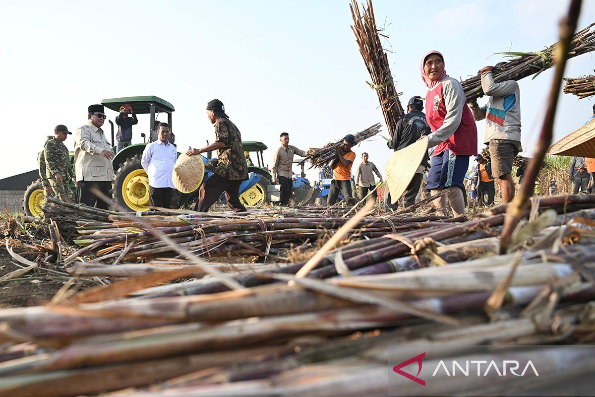Prabowo: Food Security Is a National Movement, Not Just the Agriculture Ministry's Affair