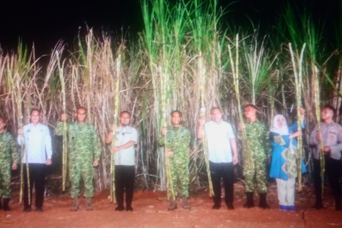 South Sulawesi Governor Appreciates Air Force's Commitment to Boosting Sugarcane Production