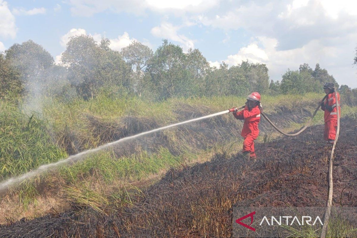 National forest and land fire area reaches 107,465 hectares up to June