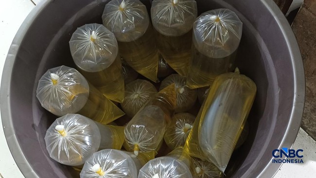 Malaysian Authorities Bust Subsidised Cooking Oil Syndicate, Seize Assets Worth Rp2.71 Billion