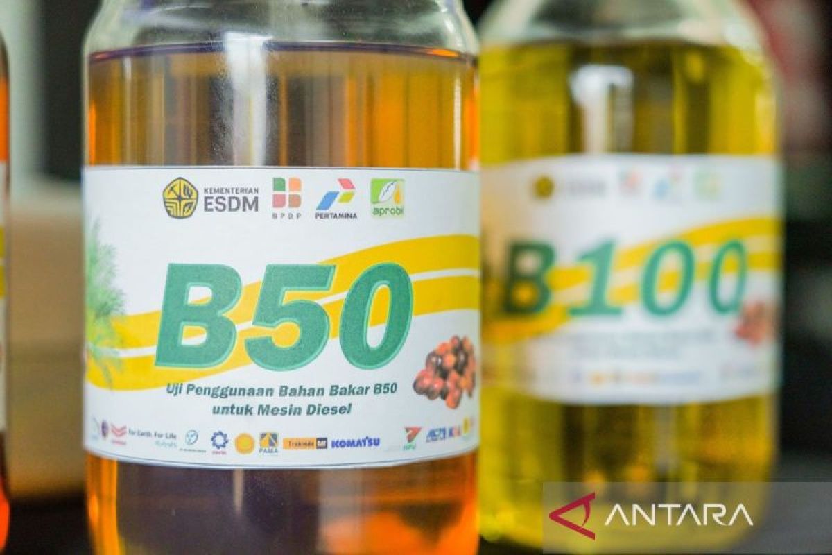 B50 Programme Brightens Prospects for Palm Oil Downstreaming, Says Indef