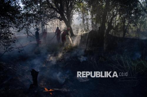 Land Fire in Ogan Ilir Extinguished, No Further Spread
