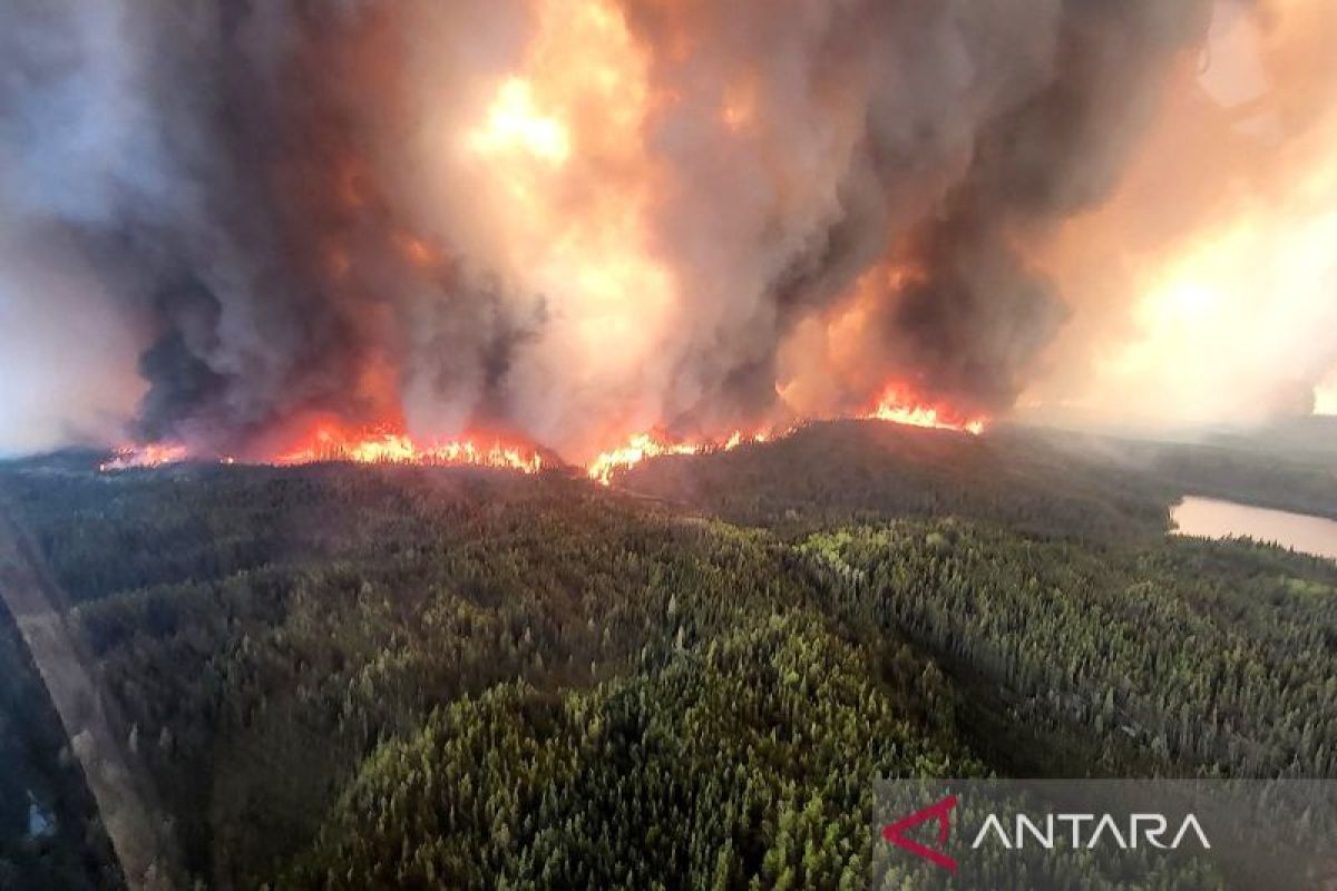 Trump Demands Canada Bear Wildfire Smoke Costs Through Import Tariffs