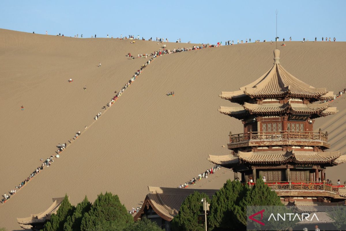 Chinese Tourist Arrivals in Japan Plunge 50% Amid Worsening Bilateral Ties
