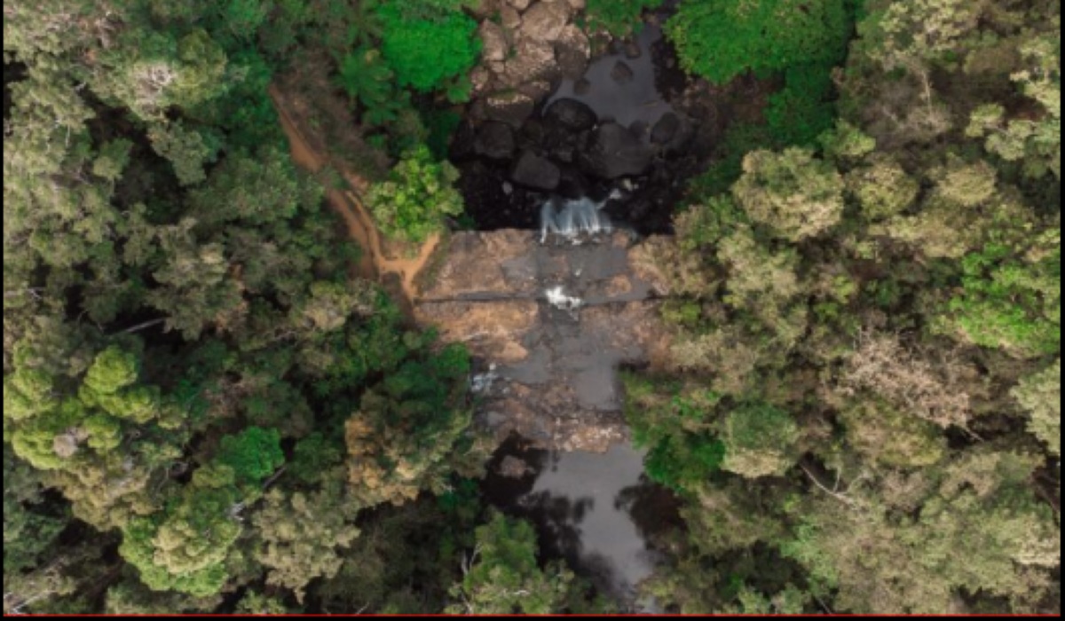 Government Launches Strategic Biodiversity Status Documents for Java to Papua