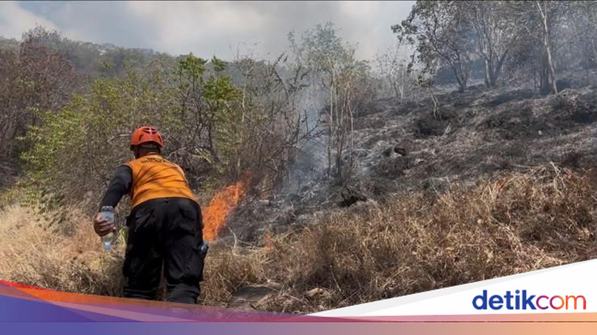 Pemuteran Village Forest in Buleleng Ablaze Since Friday, Flames Still Raging
