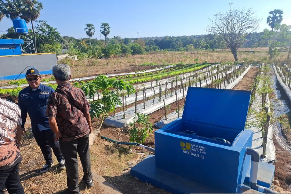 BBWS NT II Supports Kupang Farmers with Groundwater Irrigation Programme