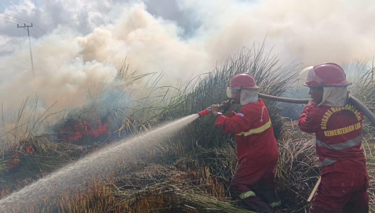 Forestry Ministry Deploys Hundreds of Manggala Agni Personnel to Tackle Forest Fires in South Kalimantan