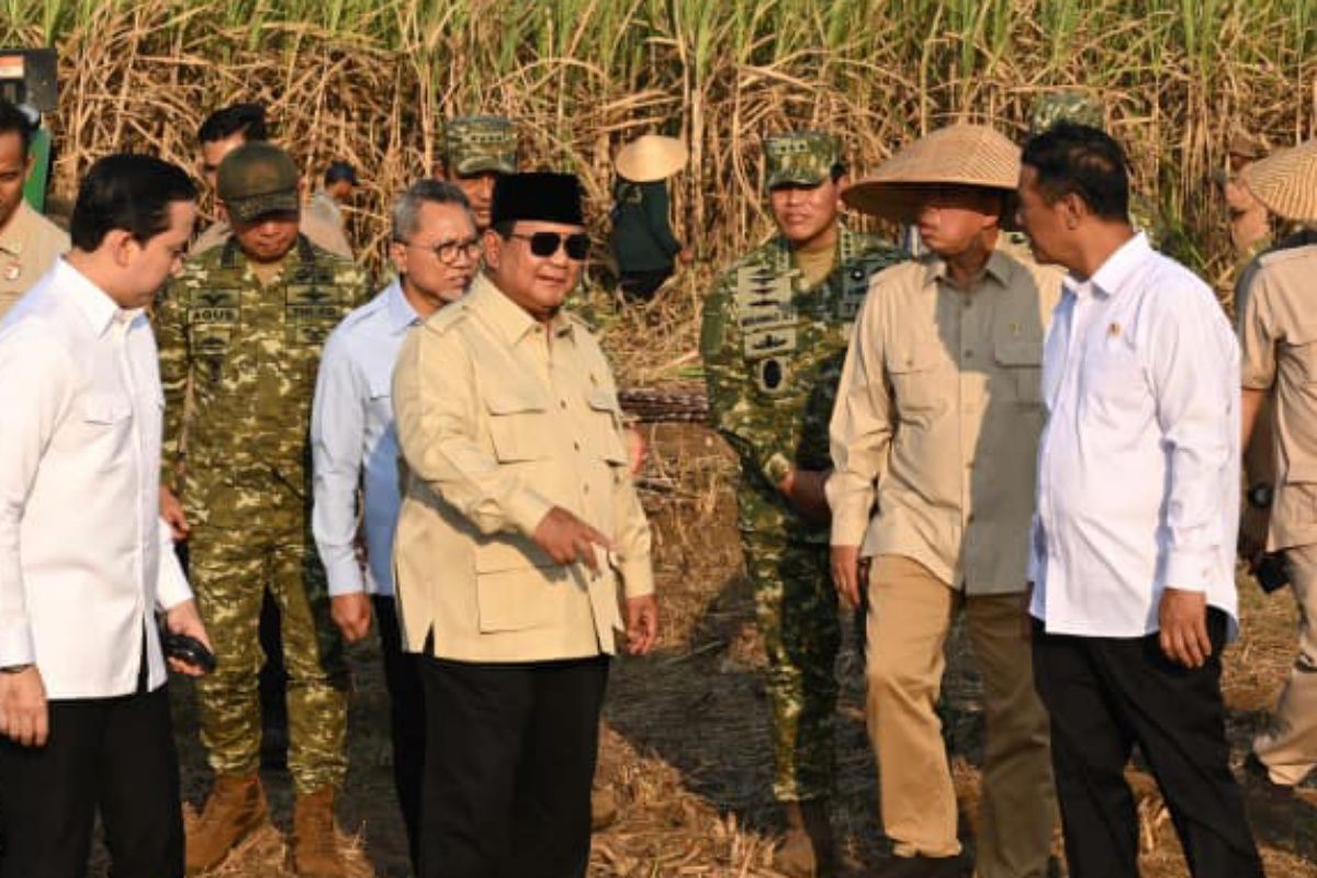 Food security requires legal certainty over land rights : Minister