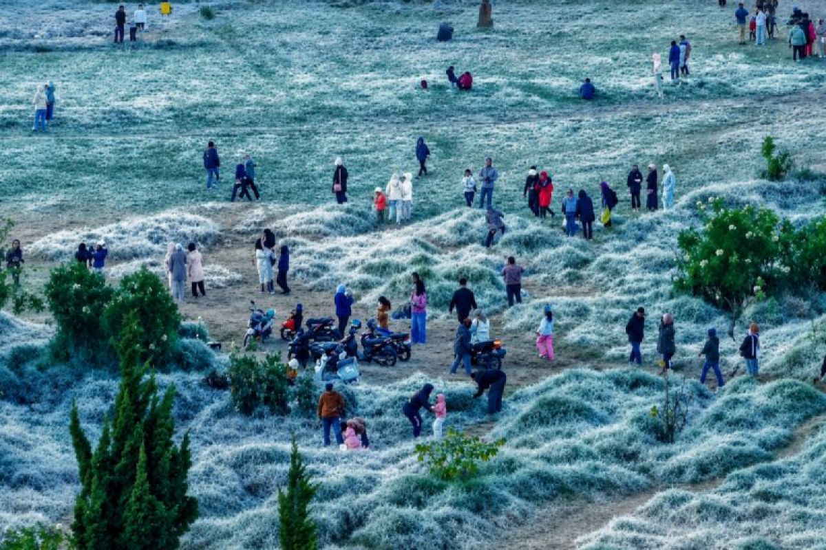 Popular News: 977 Birds Released, Dieng Frost May Occur More Often