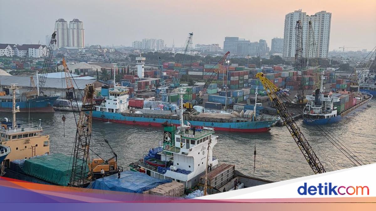 Walking Through History: A Free Tour Explores the Hidden Stories of Sunda Kelapa