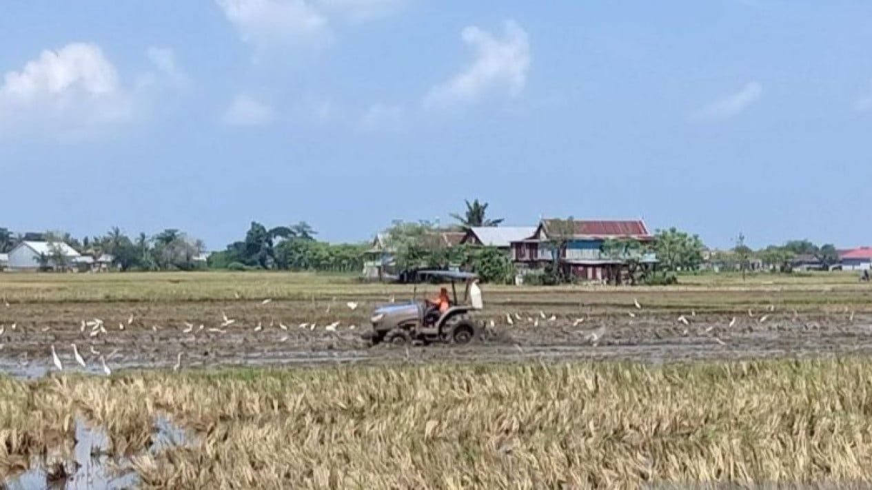 Regent Deploys Water Tankers to Irrigate Rice Fields to Maintain Production