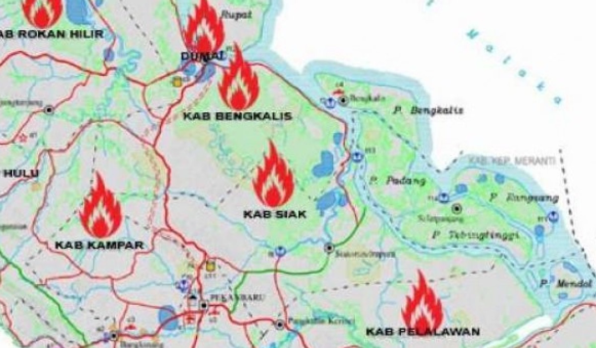 National Forest Fire Hotspots Surge 166 Percent