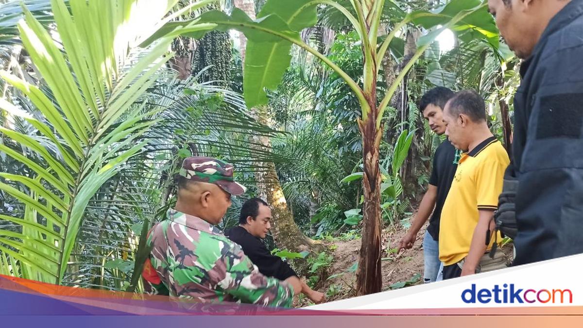 Baby Boy Wrapped in Hijab Found Alive Under Banana Tree in West Lombok