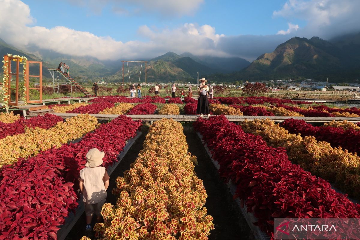Beyond Mount Rinjani: Discover the hidden charm of Sembalun