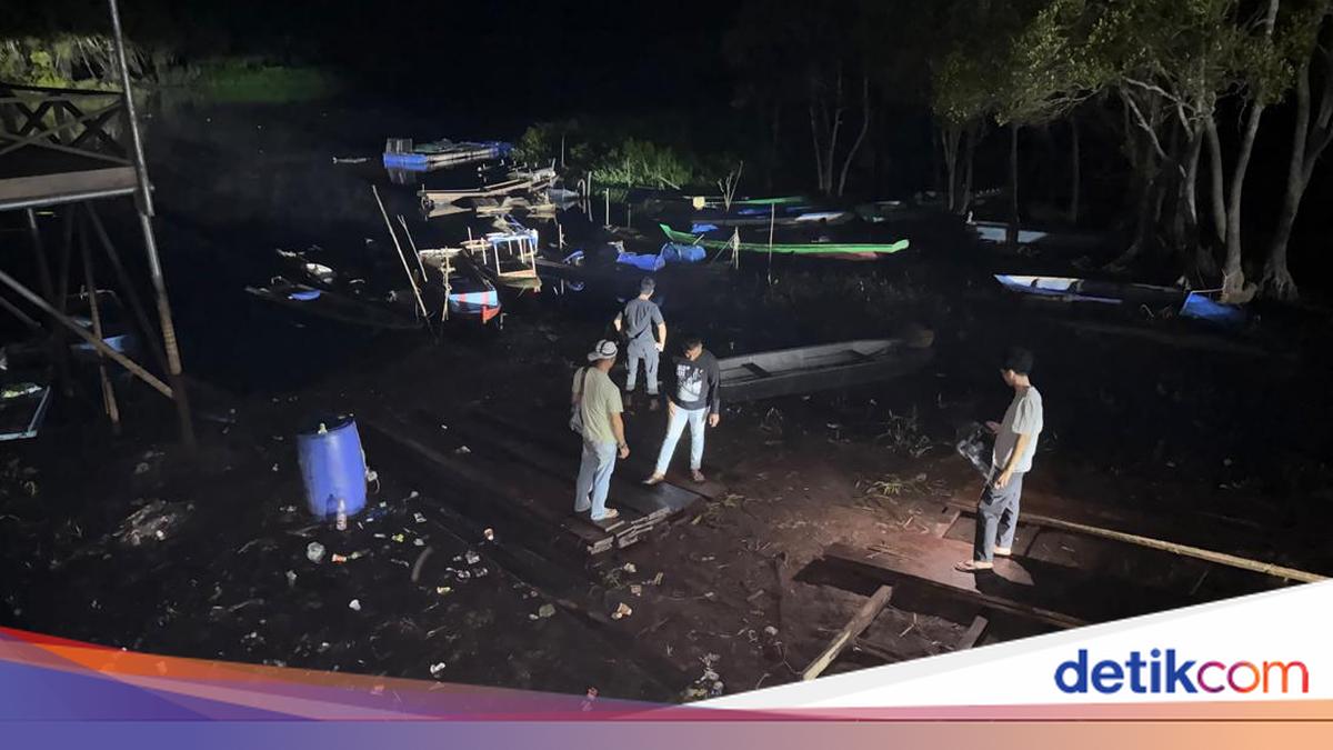 Police Uncover Illegal Logging in Pelalawan, 10 Cubic Metres of Timber Seized