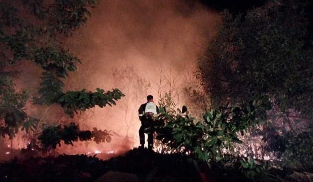 101 Hotspots Encircle Bangka Belitung, BPBD on High Alert for Forest and Land Fires
