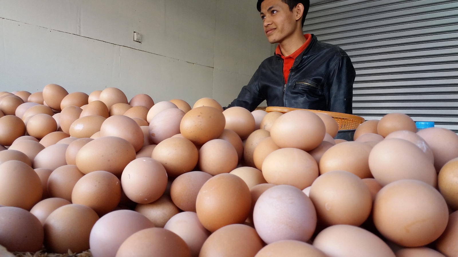 MBG Program Drives Up Chicken and Egg Prices in Sukabumi City