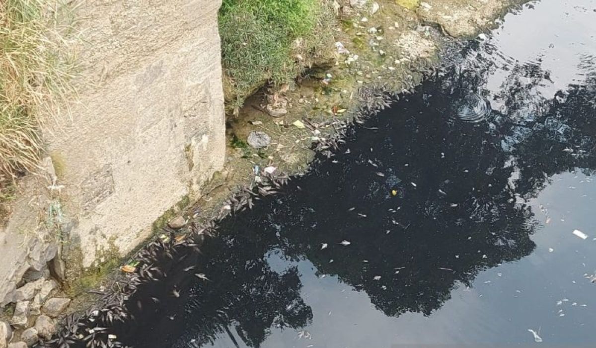 West Java Environmental Agency Investigates Black River Pollution in Ciwidey