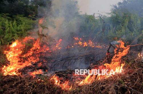 Forest and Land Fires Threaten West Aceh Again, Land Clearing by Burning Suspected as Trigger
