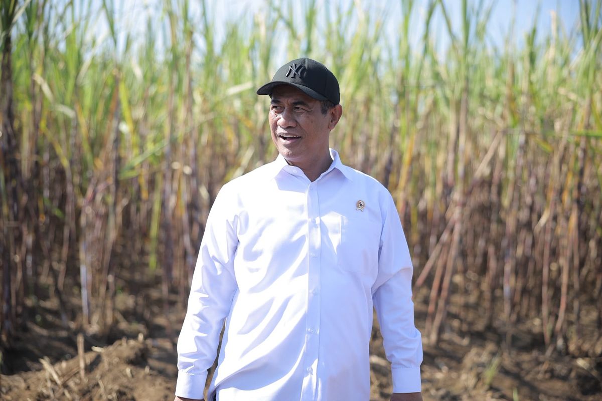 Government pushes for sugar self-sufficiency and export downstreaming