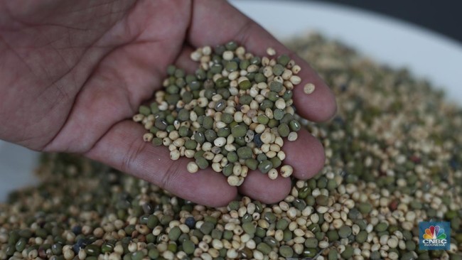 Not Just Molasses, Indonesia's Petrol Can Be Blended with These Plantation Products