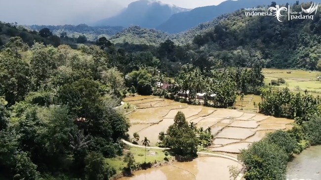 Observing Dharmasraya Regency from a Social Legal Studies Perspective