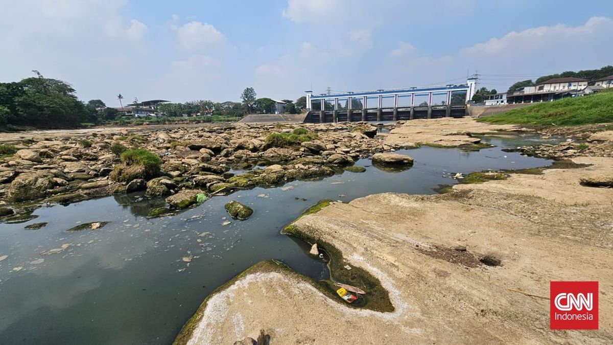 Cisadane River Pollution in Tangerang: One Company Under Investigation
