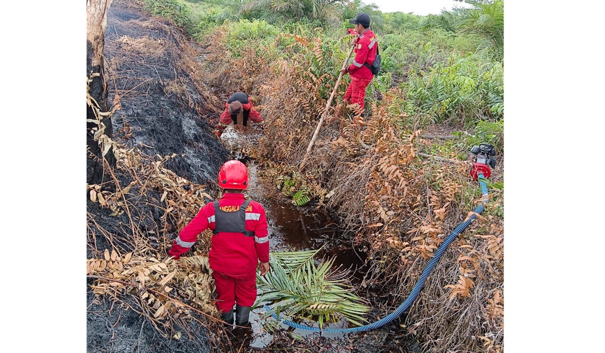 Forest and Land Fires in Pematang Pudu, Bengkalis Expand to 81 Hectares