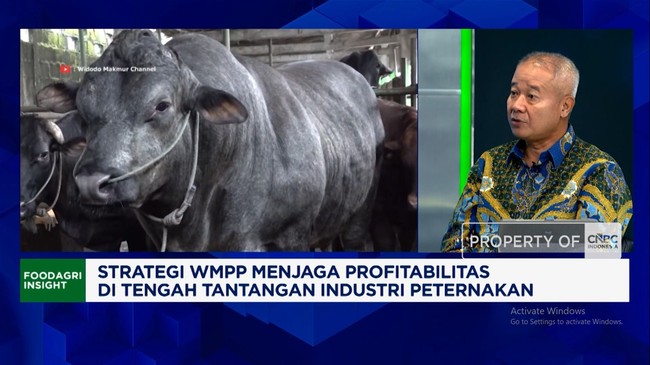 How WMPP Turned Losses into Profits Amid Rising Production Costs