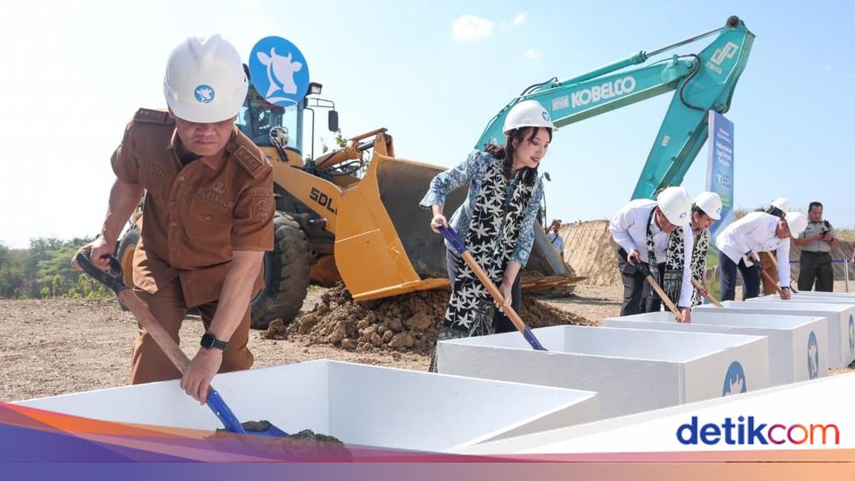 Largest Dairy Farm in Southeast Asia Worth Rp 1.2 Trillion Begins Construction in Brebes