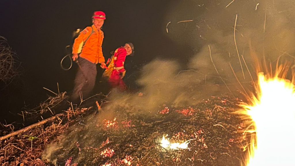 Land Fire in East Luwu Burns One Hectare, South Sulawesi Faces Deforestation Emergency