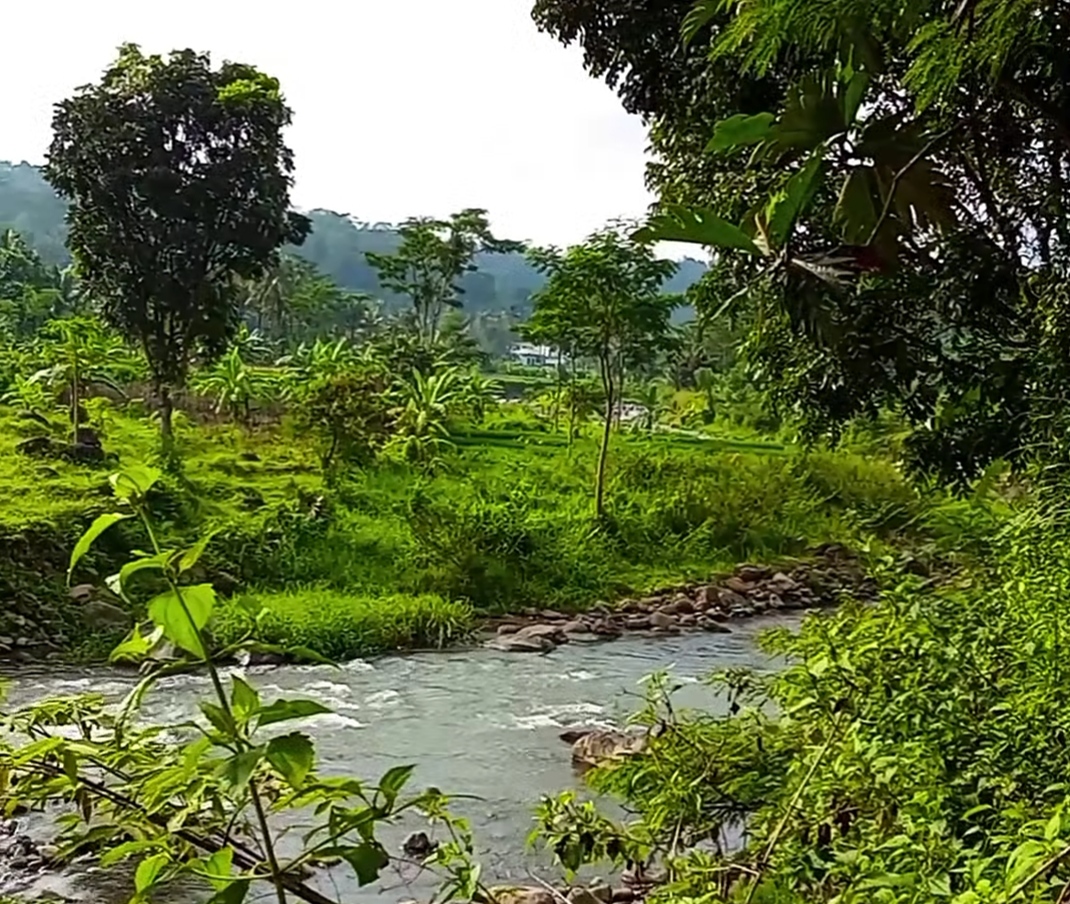 Batang Regency Deploys Water Pumps in 50 Villages to Anticipate Drought
