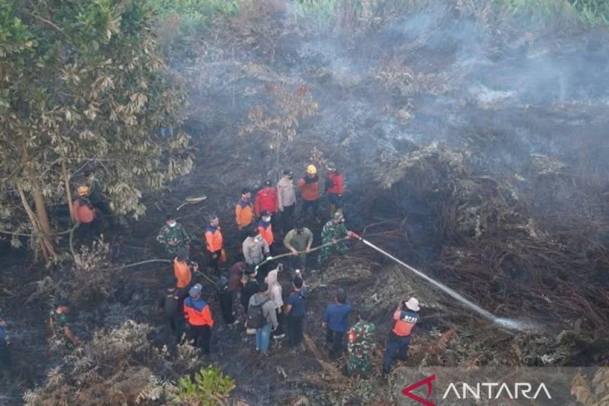 Peatland Firefighting Efforts Continue in Kubu Raya
