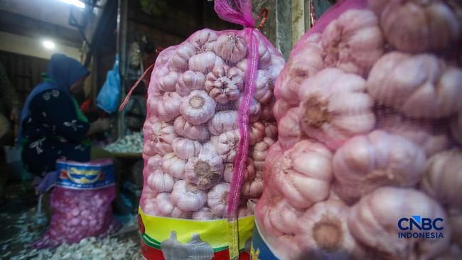 Garlic Prices Soar Across Indonesia, Surpassing Government Reference Price