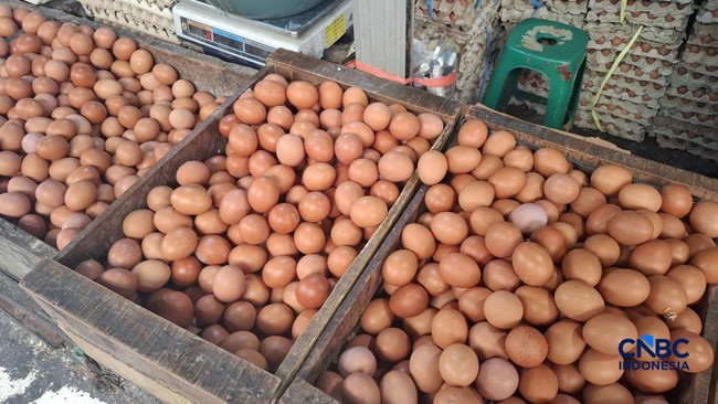 Egg Prices in Indonesia Show Stark Disparity, Papua Sees 110% Surge Above Ceiling