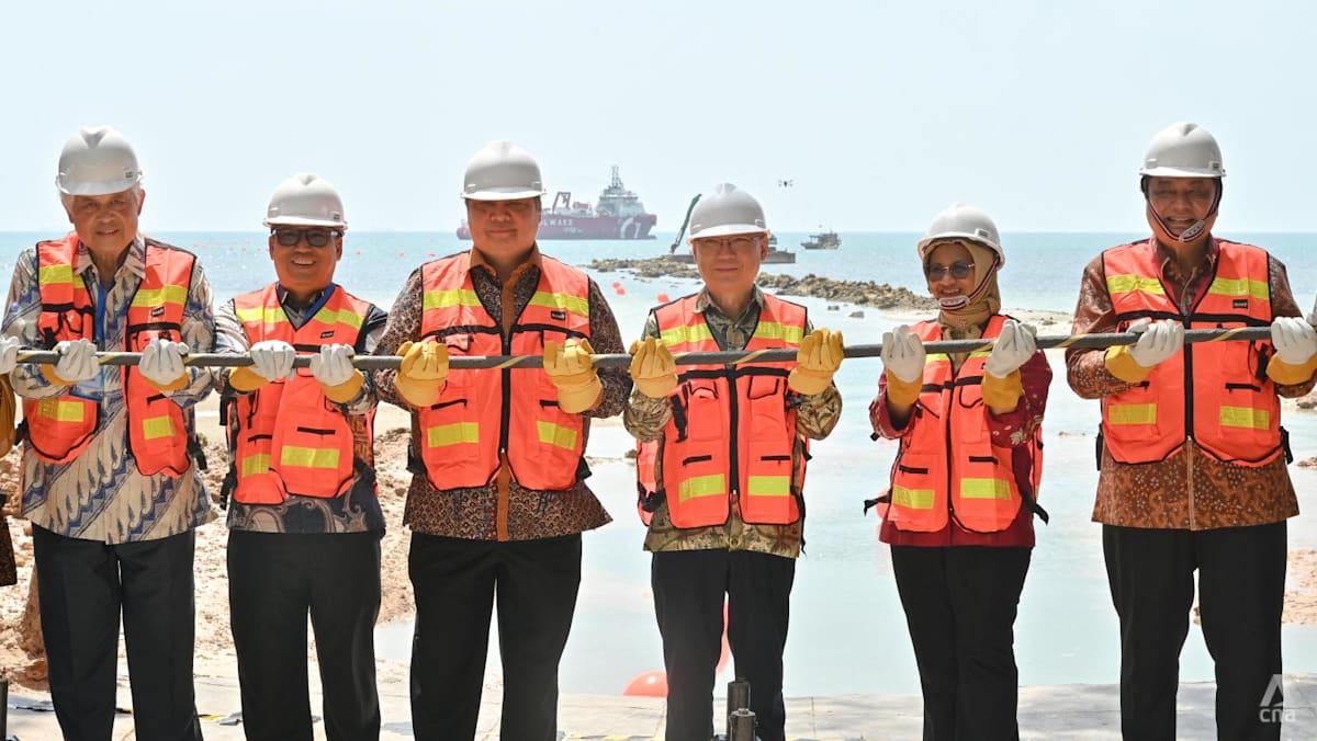 ‘New digital corridor’: Singapore, Indonesia say Batam-Changi undersea cable’s arrival will boost ties