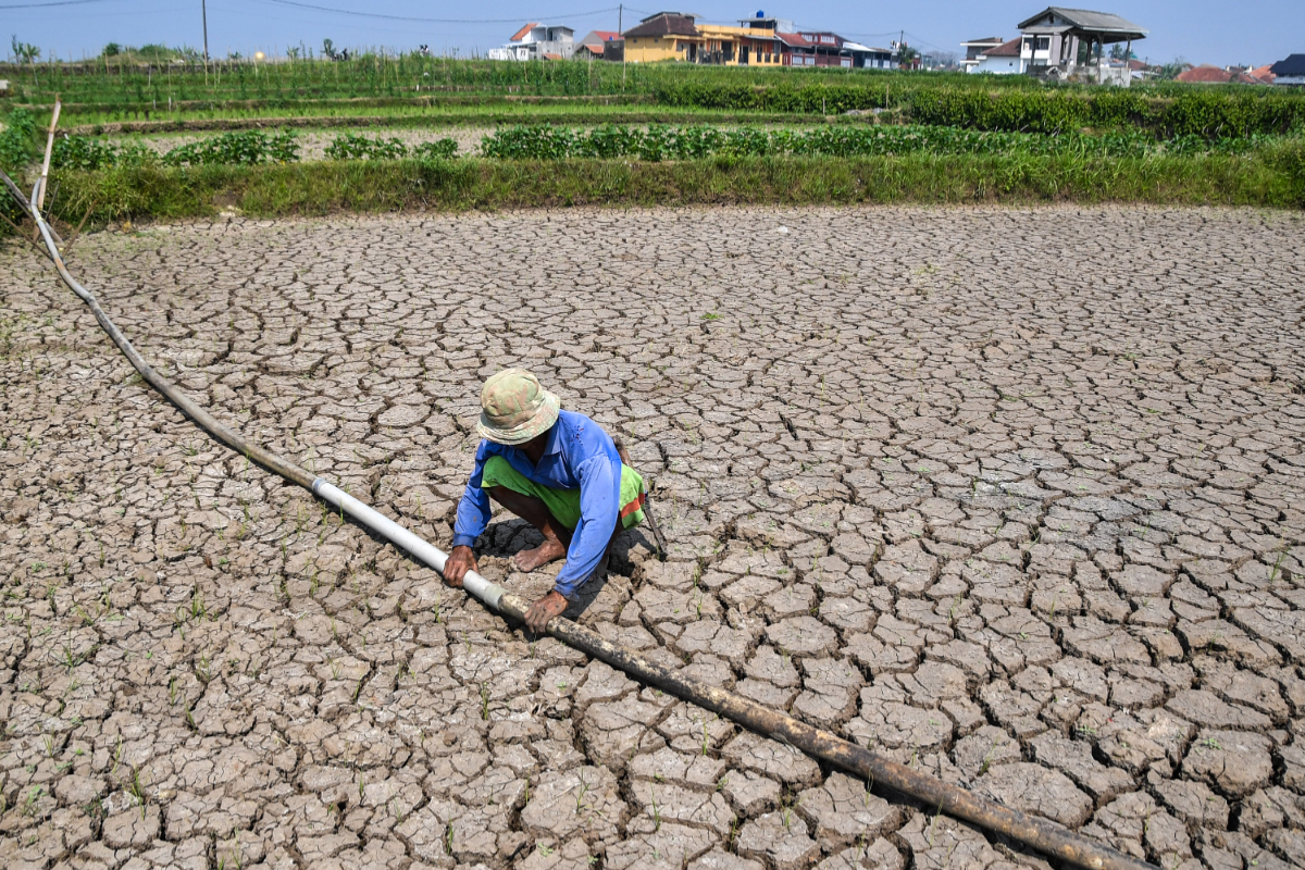 Anticipating Drought, West Java Government Asks Regions to Prepare Water Wells for Dry Season