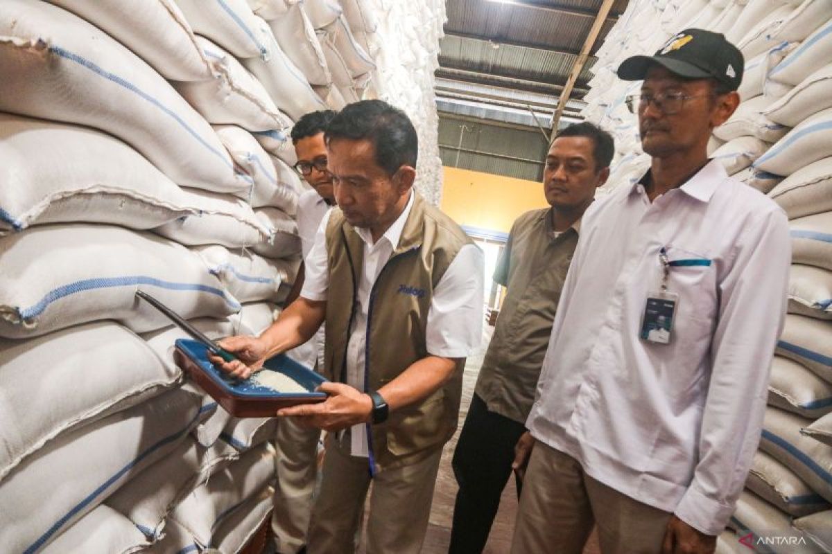 Bulog Yogyakarta Regional Office Absorbs Paddy of Various Qualities from Farmers