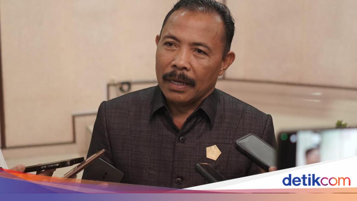 Buleleng DPRD Speaker Cautions Against Investor Interests in North Bali Airport Plan