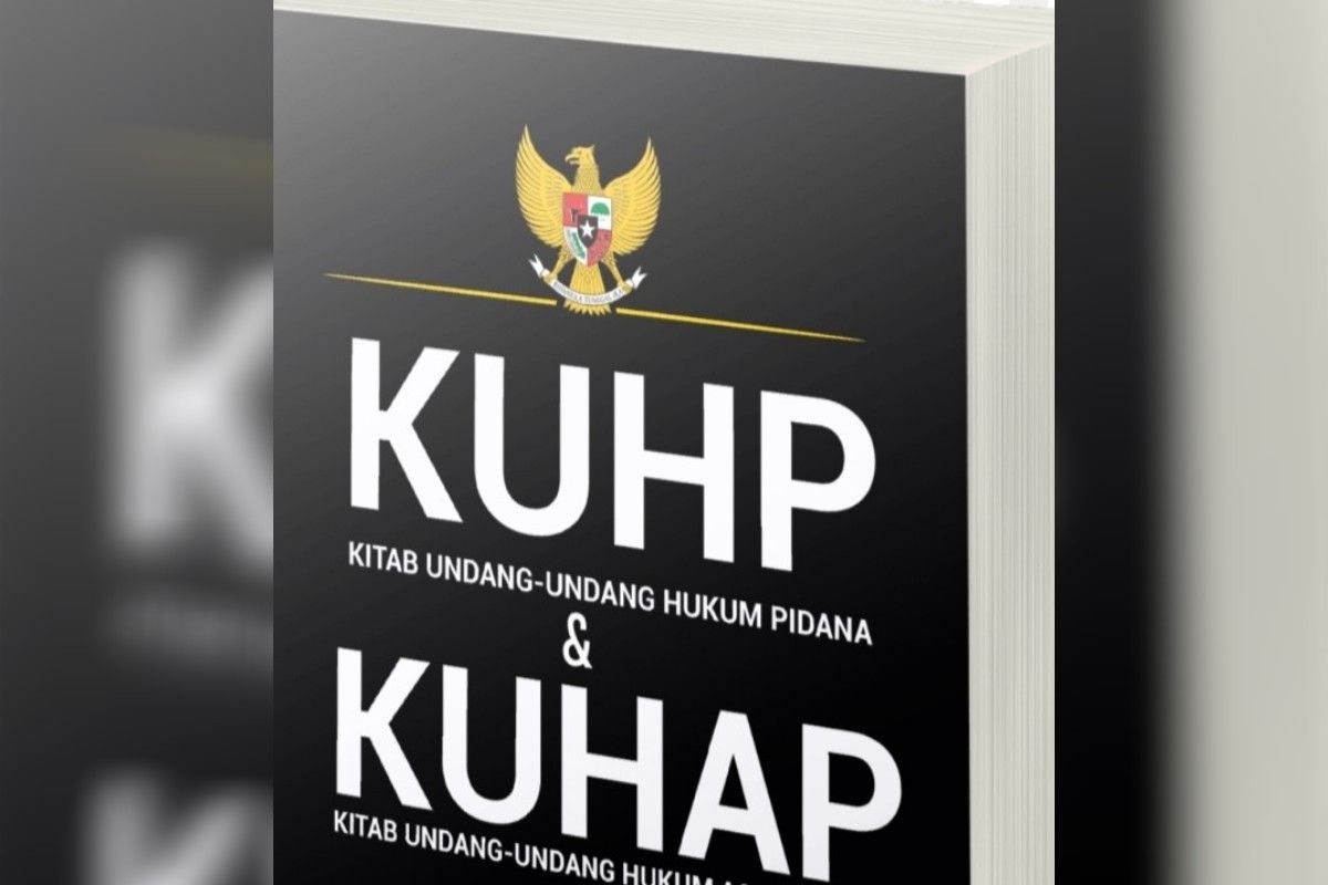 Academic urges widespread distribution of new Criminal Code and Criminal Procedure Code e-books to regions