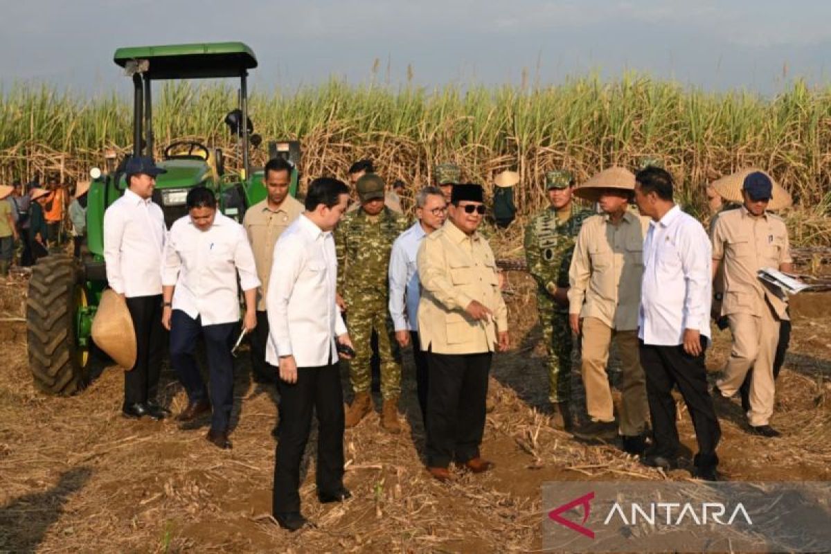 Analyst considers TNI's involvement in food security programme appropriate