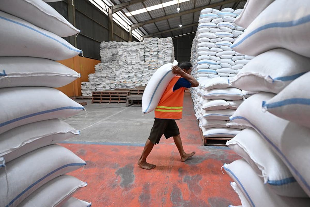 Bapanas Chief Confirms El Niño Will Not Disrupt Indonesia's Food Security