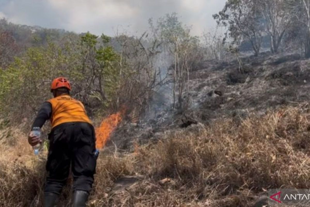 BNPB: 48-Hectare Hill Fire in Buleleng, Bali, Fully Extinguished