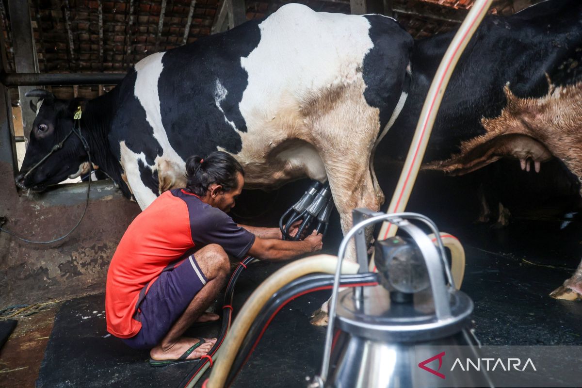 Economists Say Market Certainty Is Key to National Milk Self-Sufficiency