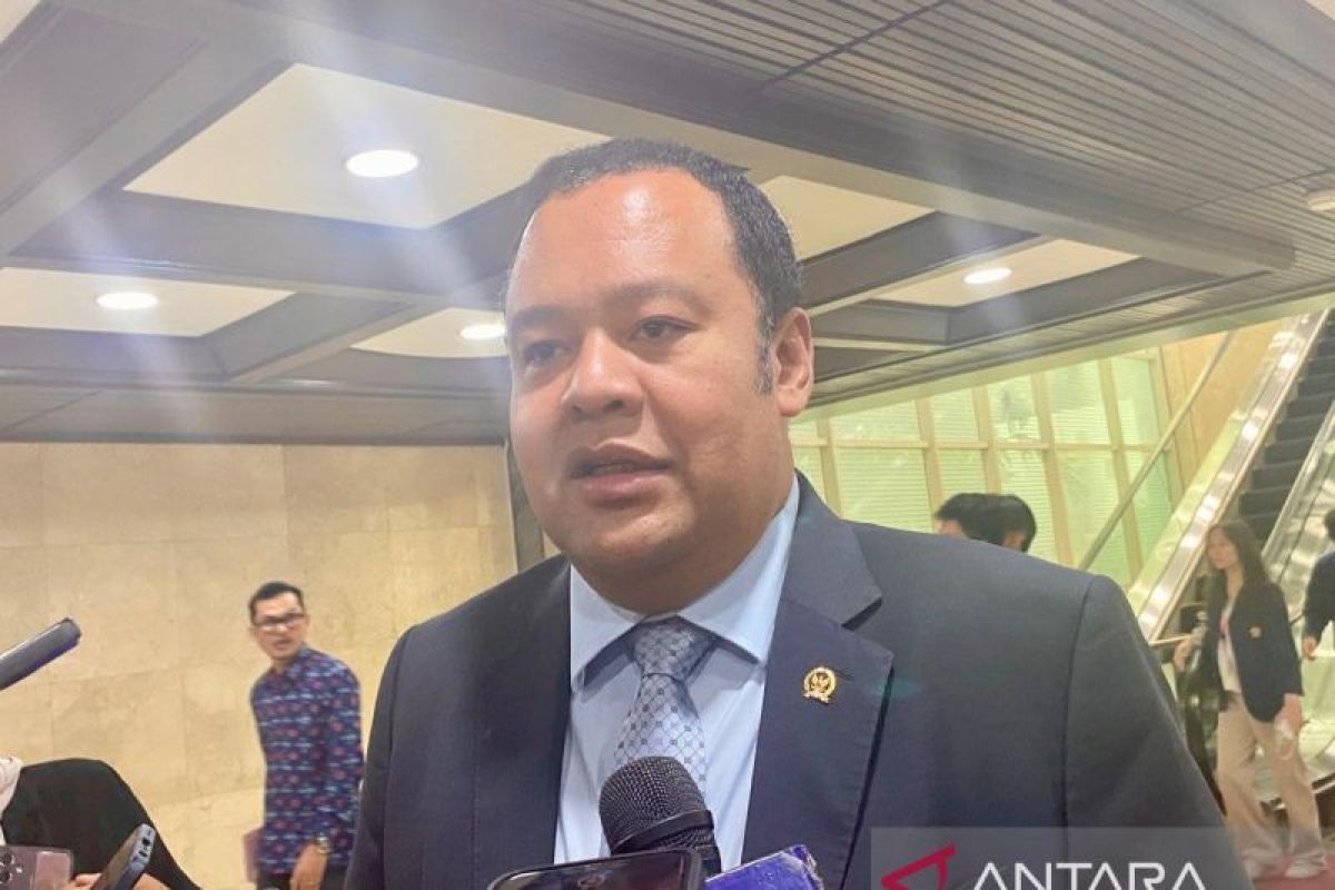 House Commission XI: PFII Law Not Rushed, but Must Seize Global Opportunities