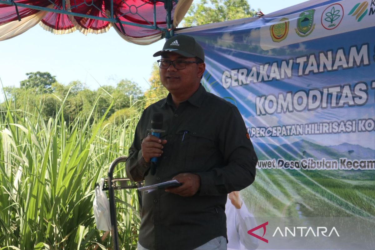 Kuningan Regency Boosts Sugarcane Cultivation to Support National Sugar Self-Sufficiency